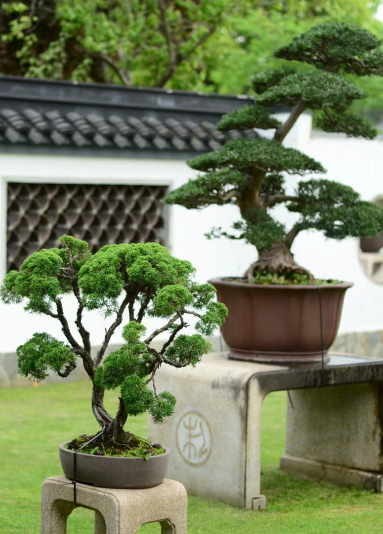 心在南湖 更有年味 | 第一屆南湖游園會(huì )即將“龍”重登場(chǎng) 心在南湖 更有年味 | 第一屆南湖游園會(huì )即將“龍”重登場(chǎng)